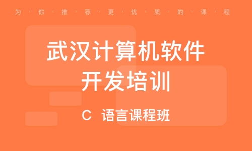 武汉软件开发培训 精选培训机构排名与选择指南