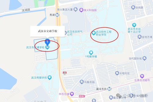 强强联手 武汉两所高校合并，共谱软件开发人才培养新篇章