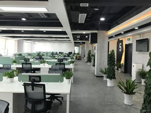 武汉软件开发行业的现状与前景